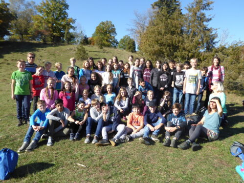 181012_6ab_Dellenhaeule1
