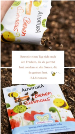 bienen.freundlich Bild 3